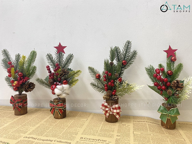 Chậu thông mini để bàn cành đỏ mọng cao 28cm đế gỗ [Nhiều kiểu] CHAUCAYGIA-19